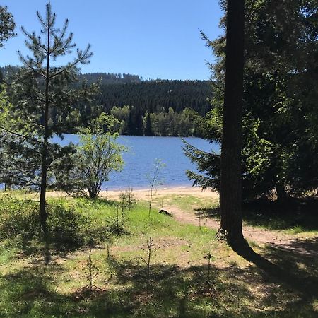 Rodinne Ubytovani Krauskopfovi Lipno nad Vltavou Eksteriør bilde